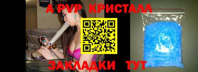 амф Можга